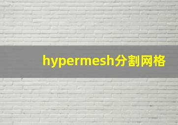 hypermesh分割网格