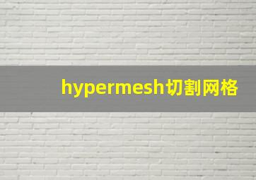 hypermesh切割网格