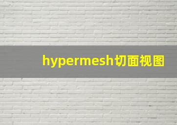 hypermesh切面视图