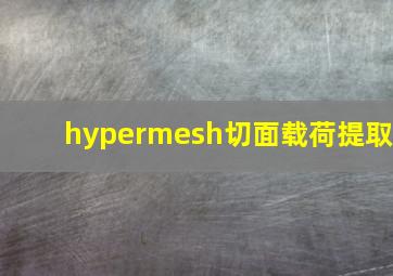 hypermesh切面载荷提取