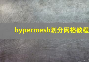 hypermesh划分网格教程