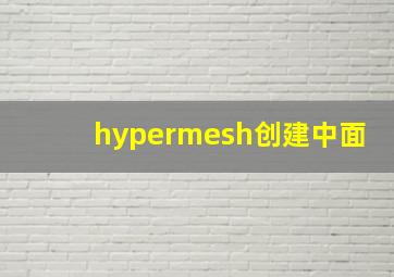 hypermesh创建中面