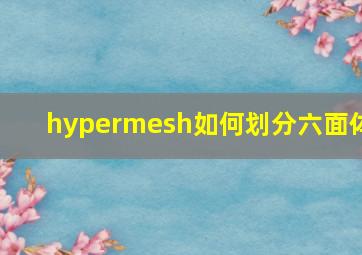 hypermesh如何划分六面体