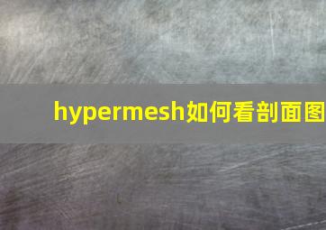 hypermesh如何看剖面图