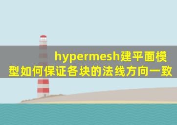 hypermesh建平面模型如何保证各块的法线方向一致