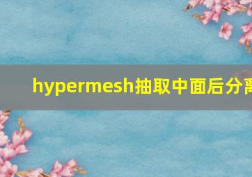 hypermesh抽取中面后分离