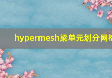 hypermesh梁单元划分网格