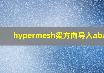 hypermesh梁方向导入abaqus