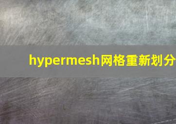 hypermesh网格重新划分