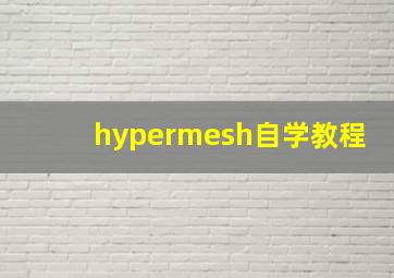 hypermesh自学教程