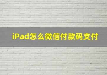 iPad怎么微信付款码支付