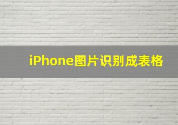 iPhone图片识别成表格