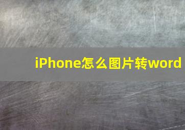 iPhone怎么图片转word