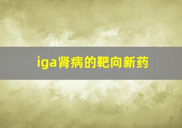 iga肾病的靶向新药