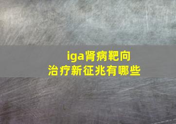 iga肾病靶向治疗新征兆有哪些