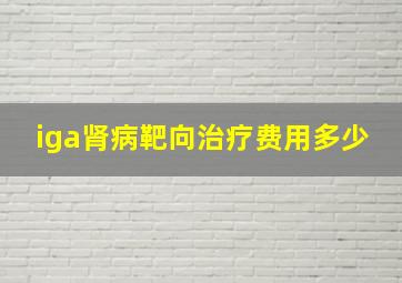 iga肾病靶向治疗费用多少