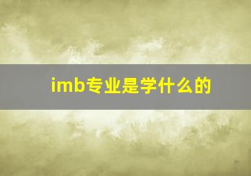 imb专业是学什么的