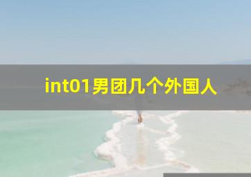 int01男团几个外国人