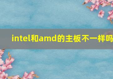 intel和amd的主板不一样吗