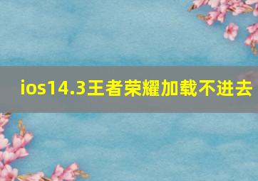 ios14.3王者荣耀加载不进去