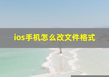 ios手机怎么改文件格式