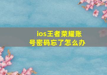 ios王者荣耀账号密码忘了怎么办