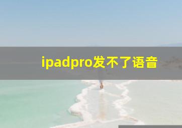 ipadpro发不了语音