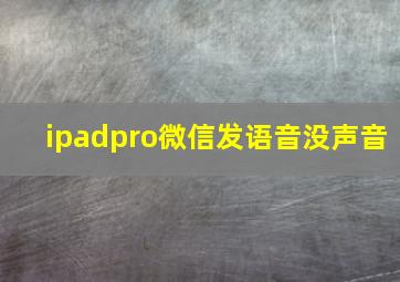 ipadpro微信发语音没声音