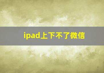 ipad上下不了微信