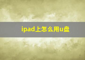 ipad上怎么用u盘