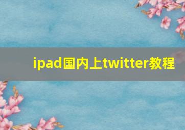 ipad国内上twitter教程