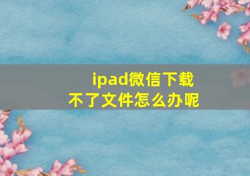 ipad微信下载不了文件怎么办呢