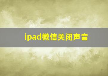 ipad微信关闭声音