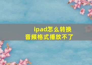 ipad怎么转换音频格式播放不了