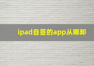 ipad自签的app从哪卸