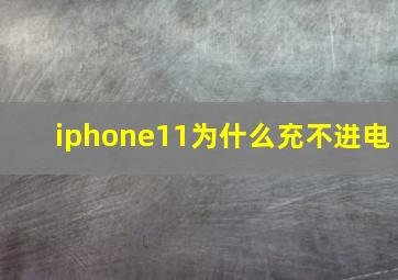 iphone11为什么充不进电