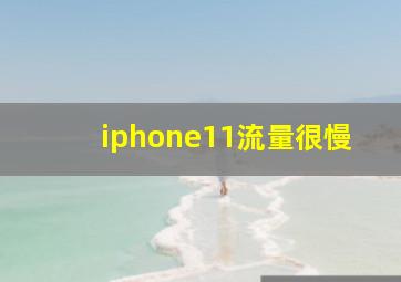 iphone11流量很慢