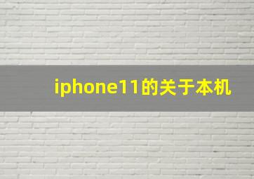 iphone11的关于本机