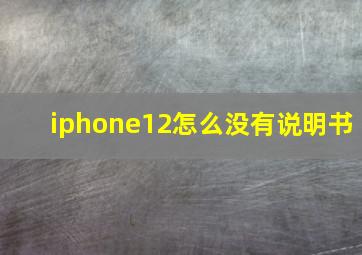 iphone12怎么没有说明书