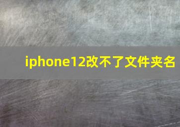 iphone12改不了文件夹名