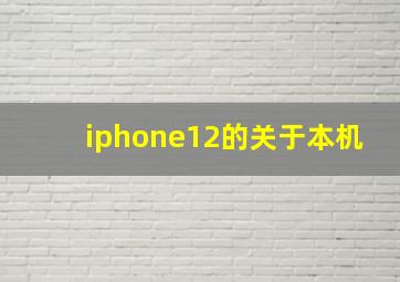 iphone12的关于本机