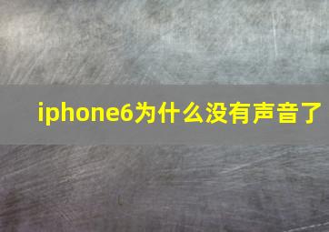 iphone6为什么没有声音了