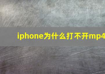 iphone为什么打不开mp4