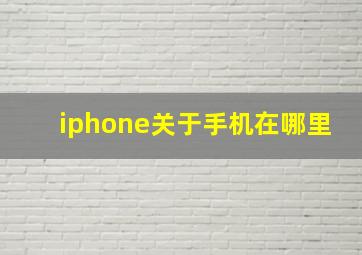 iphone关于手机在哪里