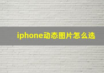 iphone动态图片怎么选