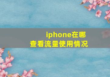 iphone在哪查看流量使用情况