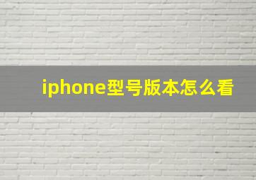 iphone型号版本怎么看