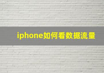 iphone如何看数据流量