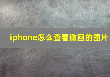 iphone怎么查看撤回的图片