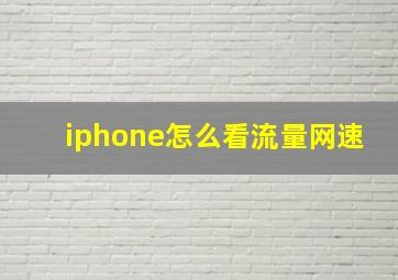 iphone怎么看流量网速